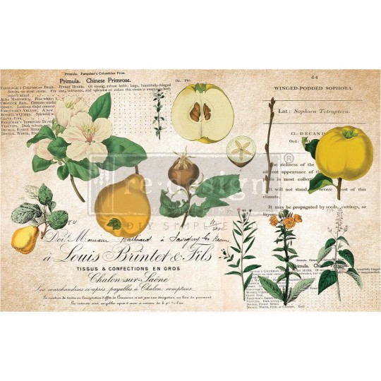Papier de Murier Mulberry Decoupage Decor Tissue Paper Primrose Redesign 48x76cm