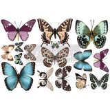 Transfert pelliculable Redesign Butterfly 15x30cm