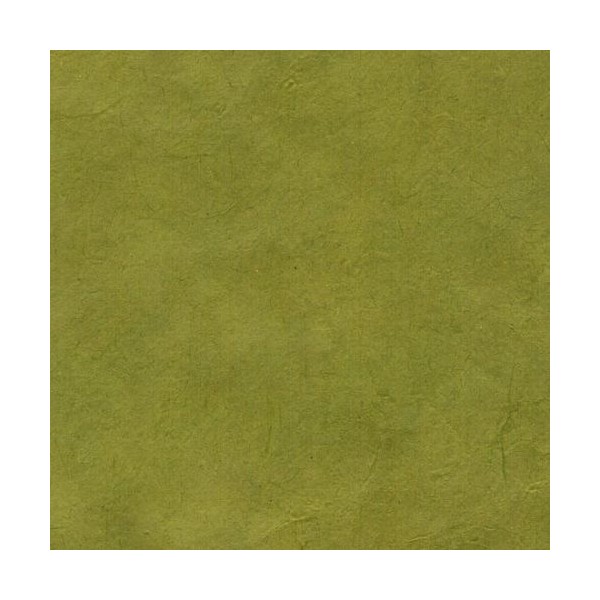 Papier népalais lokta Lamali vert bronze clair