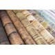 Papier scrapbooking Craft Consortium Wood Textures 30fe 30x30 assortiment