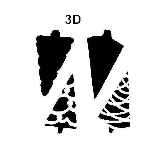 Pochoir plastique 2 sapins en 3D