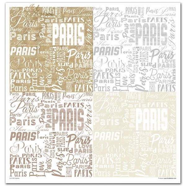 Papier scrapbooking Capitales feuilles 30x30 assortiment