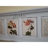 Transfert pelliculable IOD Flora Parisiensis 61x84