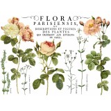 Transfert pelliculable IOD Flora Parisiensis 61x84