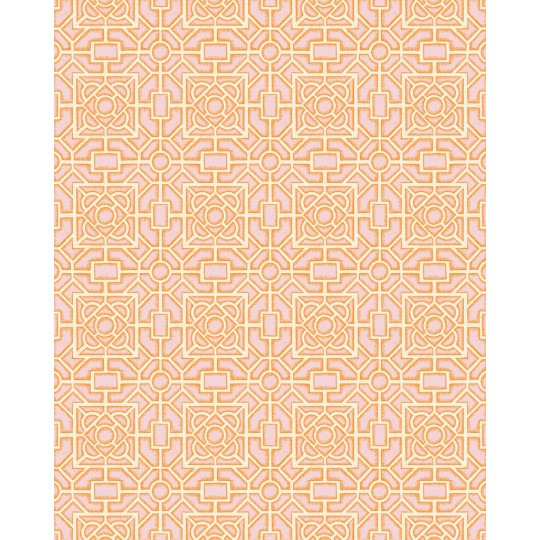 Papier de Soie pour meuble Borders 70x48cm