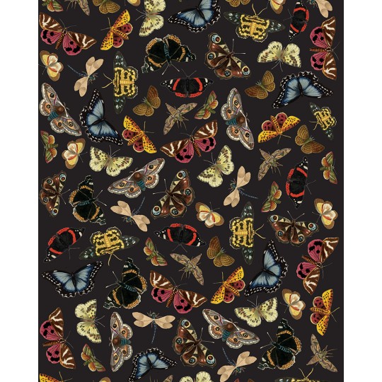 Papier de Soie pour meuble Winged Wildlife Papillons 70x48cm