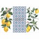 Transfert pelliculable Redesign Lemon Tree 15x30cm