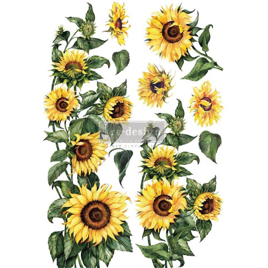 Transfert pelliculable Redesign Sunflower 61x89cm