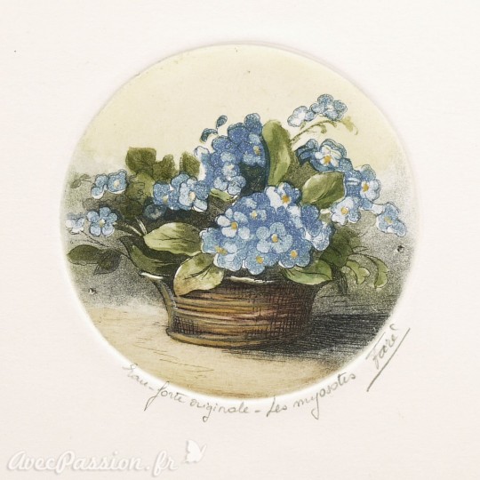 Gravure eau forte fleurs Les myosotis Gravure eau forte fleurs Les myosotis