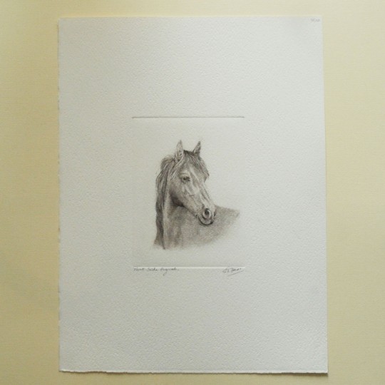 Gravure pointe sèche cheval noir et blanc Gravure pointe sèche cheval noir et blanc