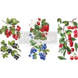 Transfert pelliculable Redesign Sweet Berries 3 feuilles de 15x30cm
