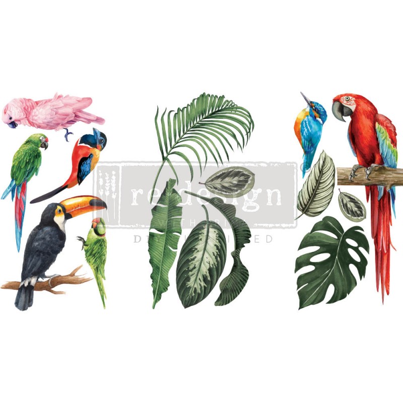 Transfert pelliculable Redesign Tropical Birds 15x30cm