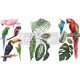 Transfert pelliculable Redesign Tropical Birds 15x30cm