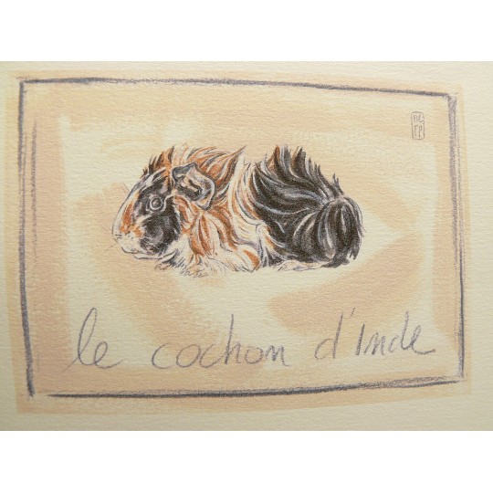 Carte d'art Foucher Poignant cochon d'inde Carte d'art Foucher Poignant cochon d'inde