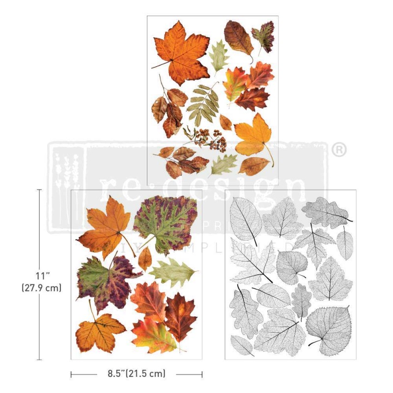 Transfert pelliculable Redesign Crunchy Leaves Forever 21.6x28cm