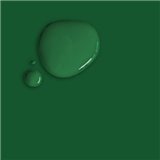 Peinture Annie Sloan Chalk Paint 1L Amsterdam Green