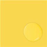 Peinture Annie Sloan Chalk Paint 1L English Yellow