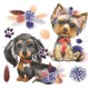 Transfert pelliculable Hokus Pokus A Dogs Life 30x30cm 3 feuilles