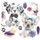 Transfert pelliculable Hokus Pokus A Dogs Life 30x30cm 3 feuilles