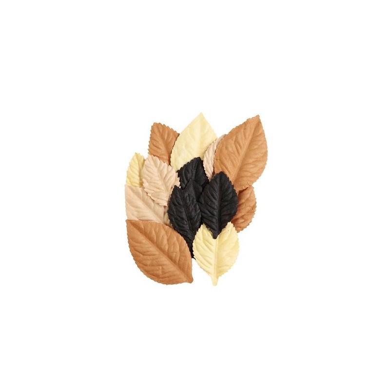 Fleurs Prima Luna Spooky Foliage 14p