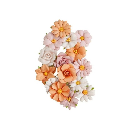 Fleurs Prima Luna Scary But Cute 15p