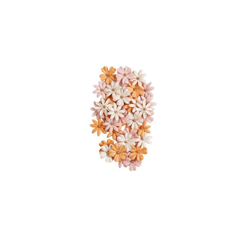 Fleurs Prima Luna Midnight Scare 40p