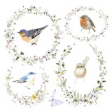 Transfert pelliculable Hokus Pokus Meadows 30x30cm 3 feuilles