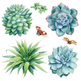 Transfert pelliculable Hokus Pokus Sheilam Succulants 30x30cm 3 feuilles