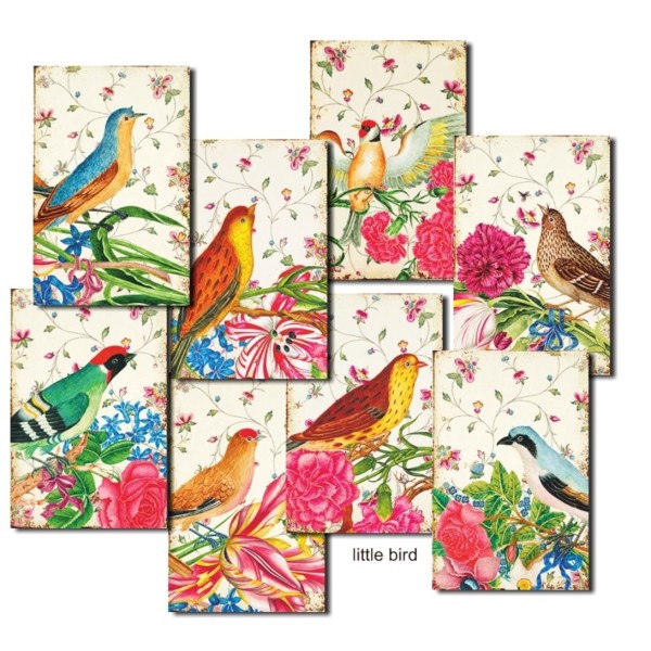 Etiquettes décoratives Little Bird 24p