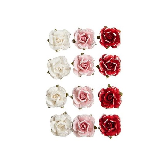 Fleurs Prima Candy Cane 12p