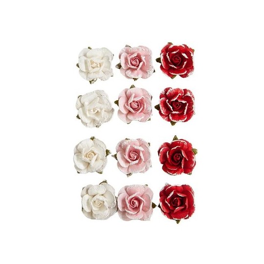 Fleurs Prima Candy Cane 12p