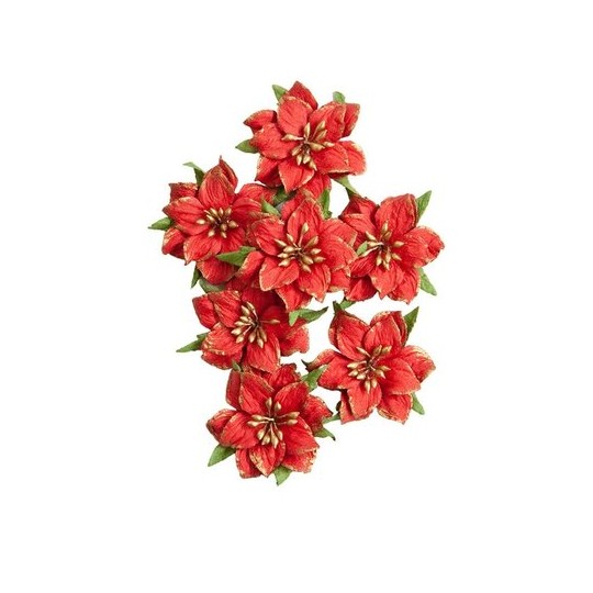 Fleurs Prima Rudolph’s Nose 8p