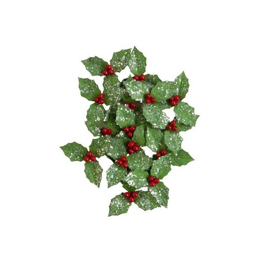 Fleurs Prima Mistletoe Love 15p