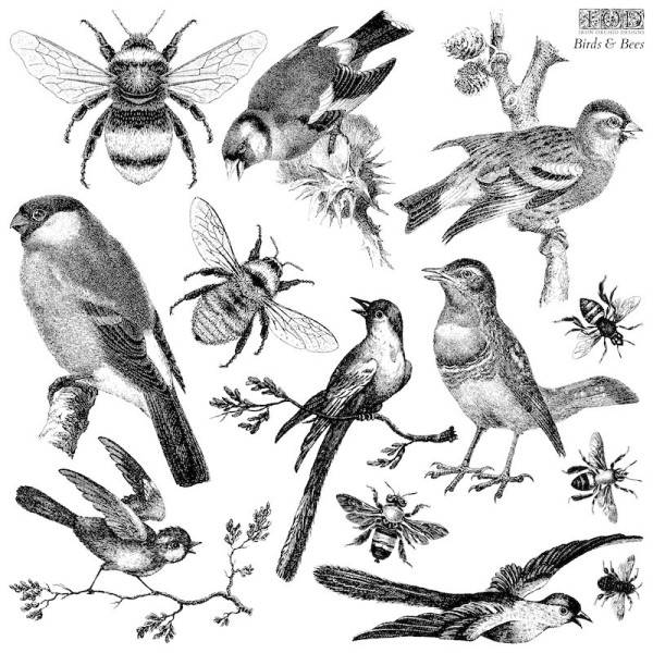 Tampons IOD Clear Stamps Birds & Bees