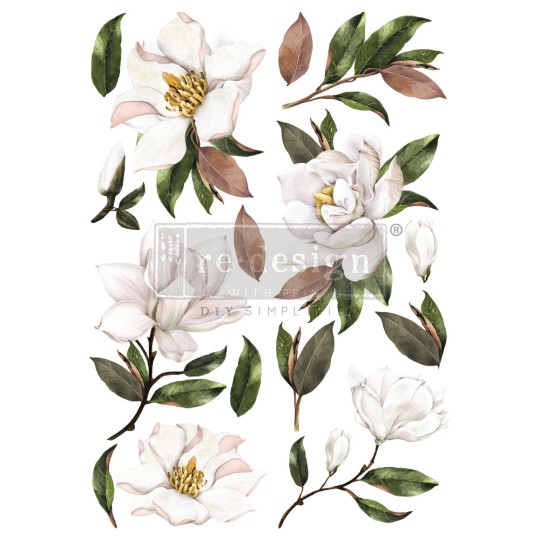 Transfert pelliculable Redesign Magnolia Grandiflora 61x89cm