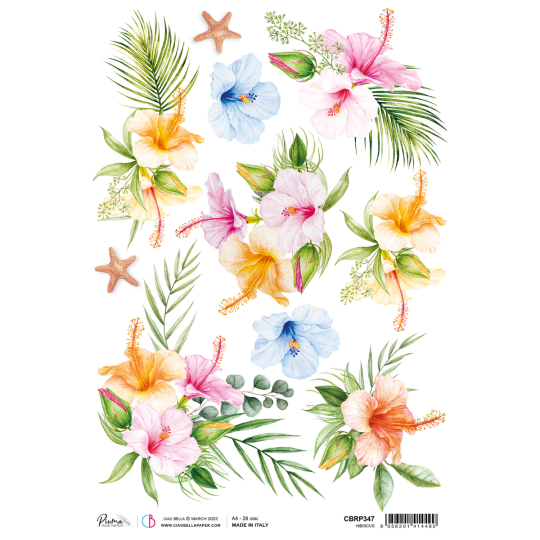 Papier de riz Ciao Bella A4 Hibiscus Papier de riz Ciao Bella A4 Hibiscus