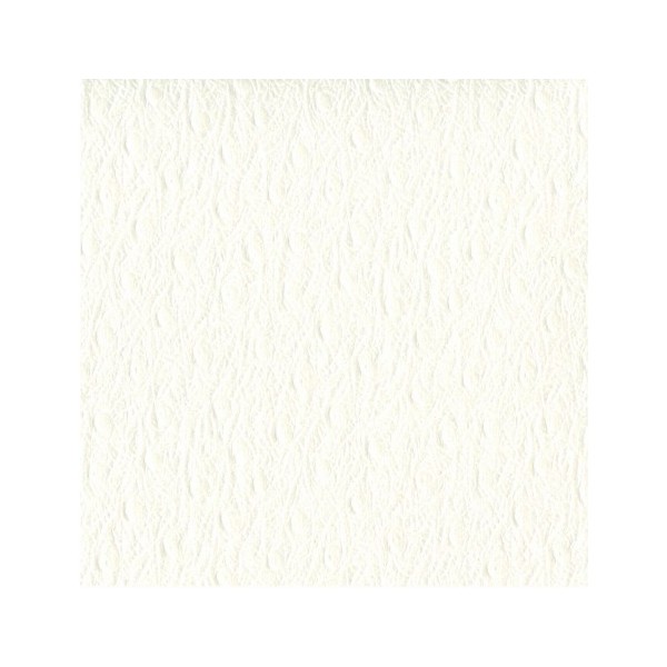 Papier Skivertex® ostra simili cuir autruche blanc 50x70cm