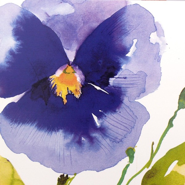 Carte postale fleurs pensée Summer Thornton