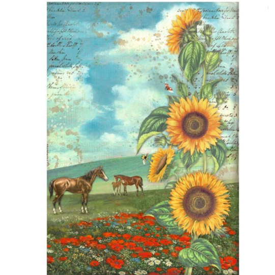 Papier de riz Sunflower Art et chevaux Stamperia A4