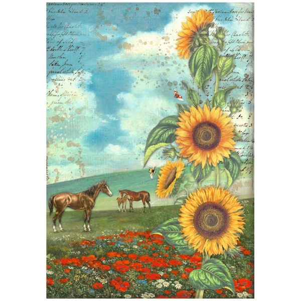 Kit 6 papiers de riz Sunflower Art Stamperia A4