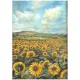 Kit 6 papiers de riz Sunflower Art Stamperia A4