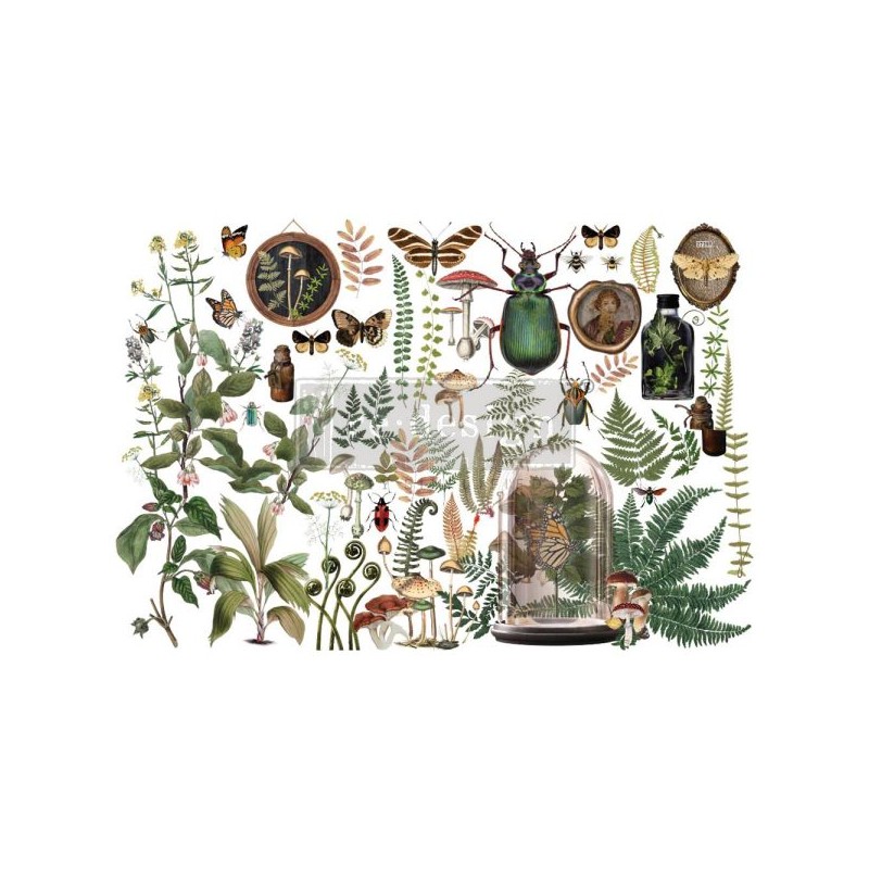 Transfert pelliculable My Findings 61x89cm