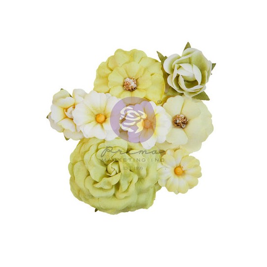 Fleurs Prima April Showers 8pcs