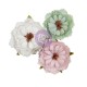 Fleurs Prima With Amour 3pcs