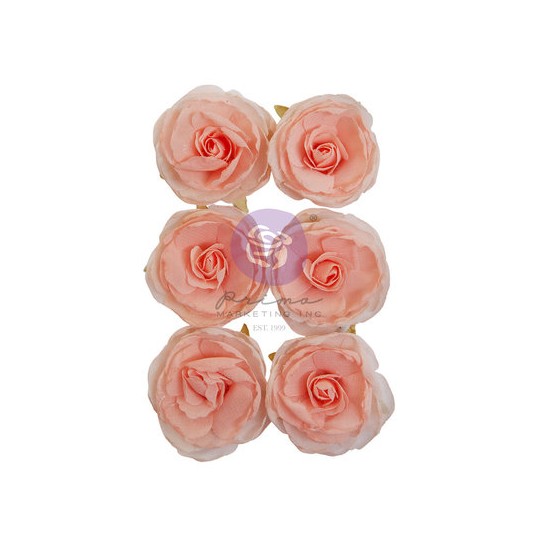 Fleurs Prima Peachy Keen 6pcs