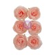 Fleurs Prima Peachy Keen 6pcs