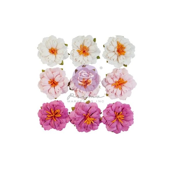 Fleurs Prima Blushing 9pcs