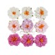 Fleurs Prima Blushing 9pcs