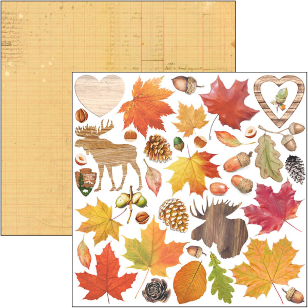 Papier scrapbooking Ciao Bella Into the Wild 24f 15x15 assortiment 