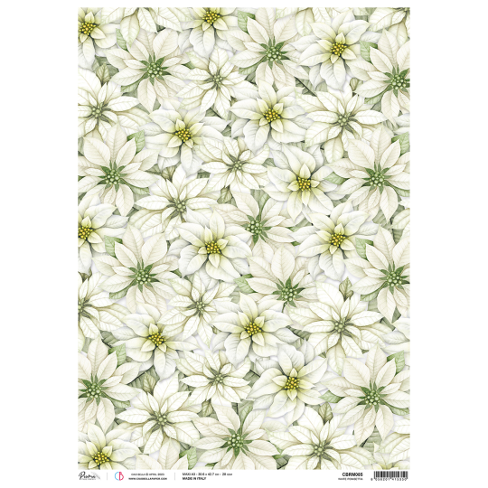 Papier de riz Ciao Bella A3 White Poinsettia